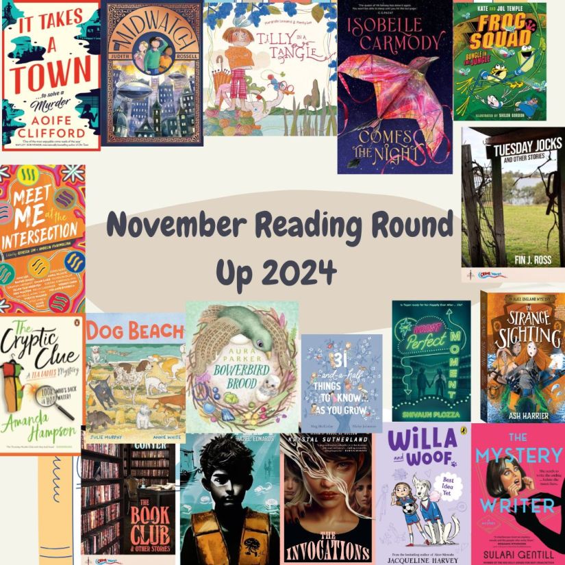 A beige square with dar grey text surrounded by several colourful book covers. November 2024 Reading Round Up 