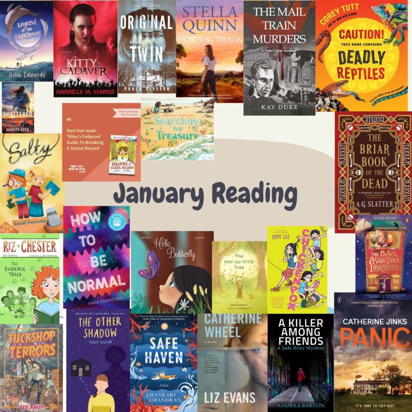 A beige square with dar grey text surrounded by twenty-eight colourful book covers. Text is black and says January Reading.