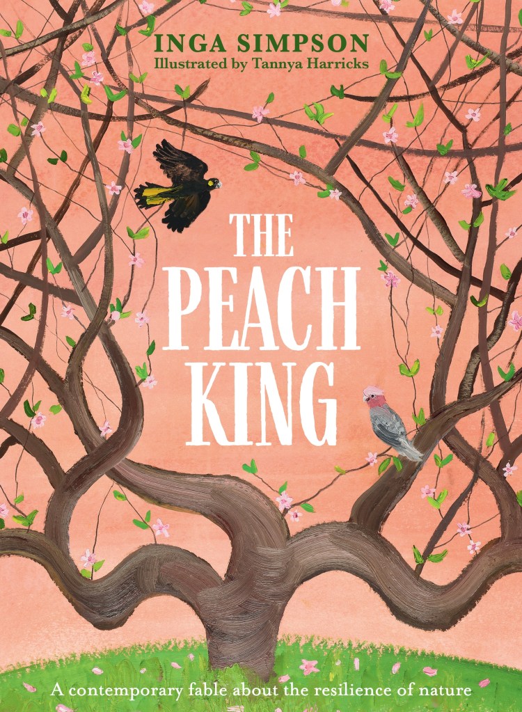 The Peach King

An orange sky above green grass. There is a tree with lots of branches with pink flowers and green leaves, a galah and a black and yellow bird. The text on the cover is white and green. The Peach King by Inga Simpson, illustrated by Tannya Harricks. Tagline says A contemporary fable about the resilience of nature. 